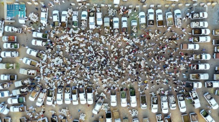 استقبال 23,300 أضحية في مسالخ جازان خلال عيد الأضحى