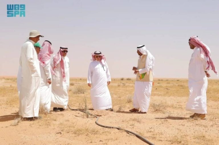 الرئيس التنفيذي لـ”الغطاء النباتي” يزور روضة السبلة