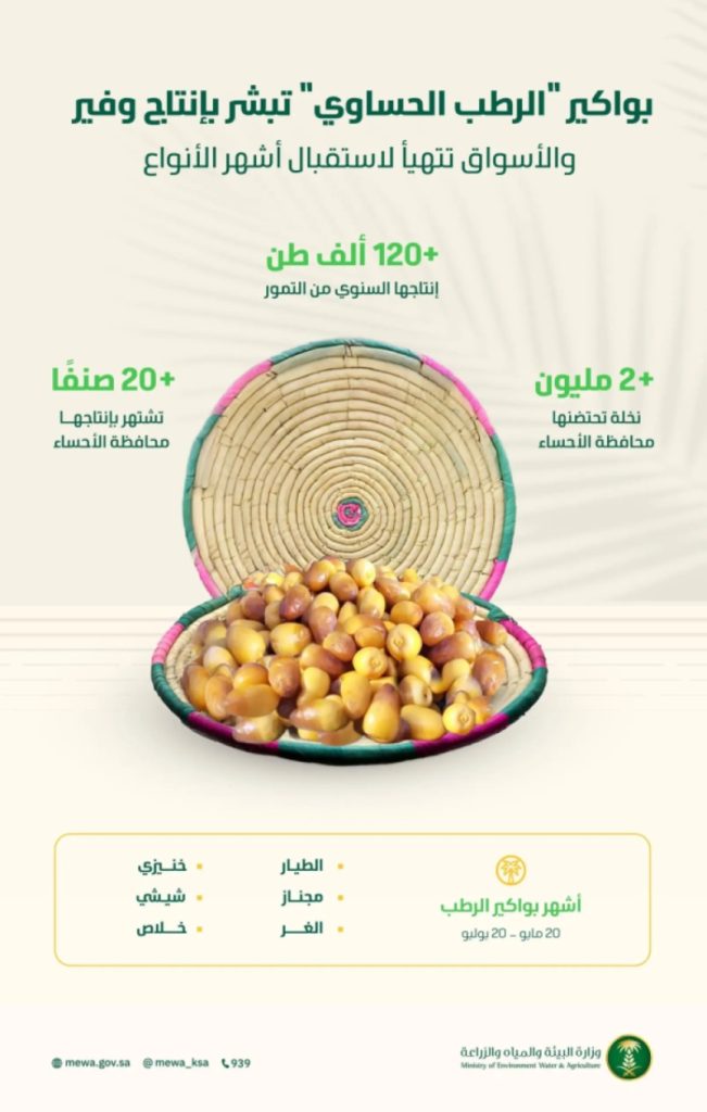 “الرطب الحساوي” يبشر بإنتاج وفير والأسواق تستعد لاستقبال أشهر أنواعه من الخلاص والشيشي والغر