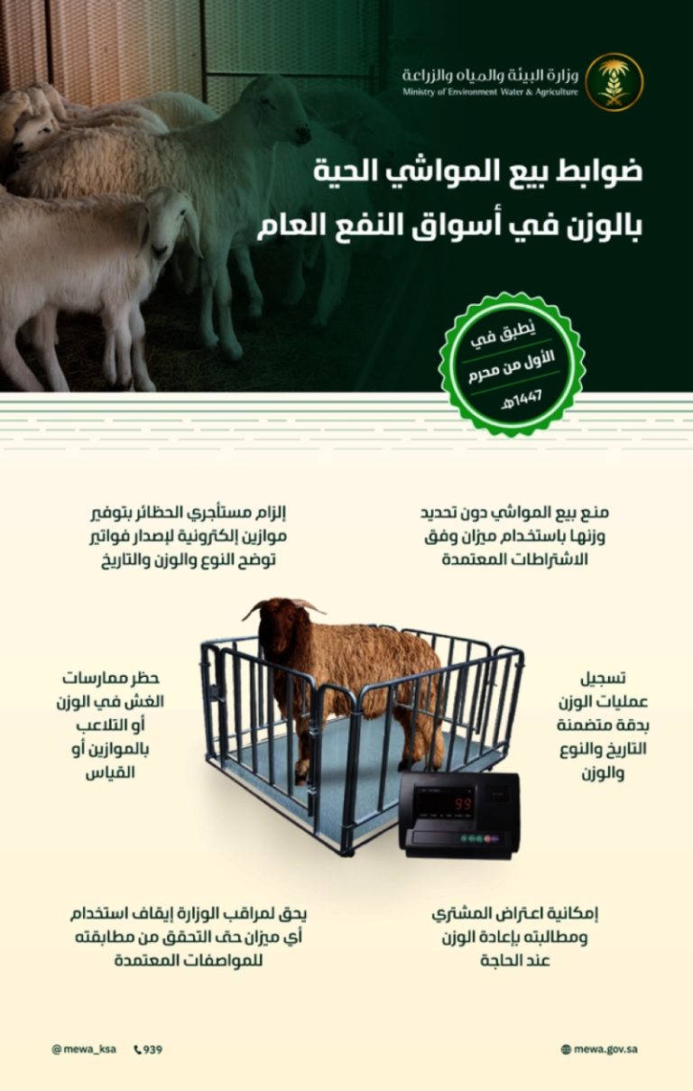 “الموعد المحدد” بدء تطبيق (6) ضوابط جديدة لبيع المواشي الحية بالوزن ابتداء من غرة محرم