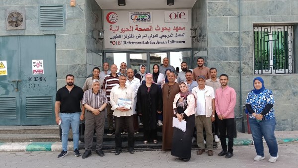 برنامج تدريبي لمربي الدواجن والماشية بمعهد الصحة الحيوانية بالمحافظات
05/06/2025 03:00 ص
تكريم الدكتورة سماح عيد بشهادة تقدير من حماده مسعد عبداللطيف