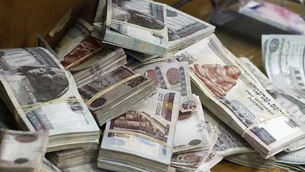 تساؤلات حائرة حول قانون التأمينات الجديد 2025 وحق الأبناء في معاش الوالد المتوفى