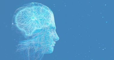 تطبيق Gemini يتصدر قائمة الذكاء الاصطناعي لجمع المعلومات عن المستخدمين