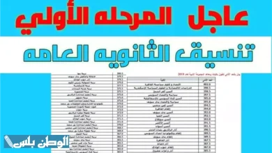 تنسيق الثانوية العامة 2025 بعد الشهادة الإعدادية