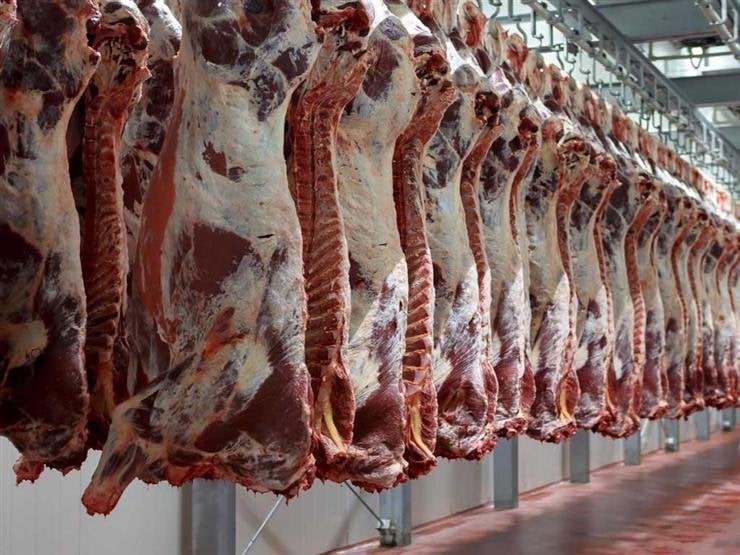 توزيع 50 طنّ لحوم أضاحي على الأسر الأولى بالرعاية من «الأوقاف»