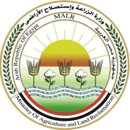 توزيع مجاني: ذبح 28 ألف أضحية للمواطنين خلال عيد الأضحى