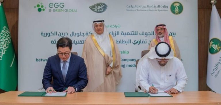 توطين إنتاج تقاوى البطاطس يُعزز الأمن الغذائي
