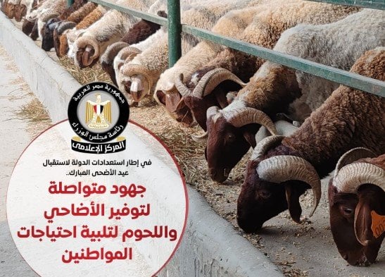 توفير الأضاحي بأسعار مناسبة للمواطنين في خطوة من الوزراء