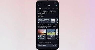 جوجل تقدم تطبيقًا مبتكرًا لتشغيل نماذج الذكاء الاصطناعي على هواتف الموبايل بلا إنترنت