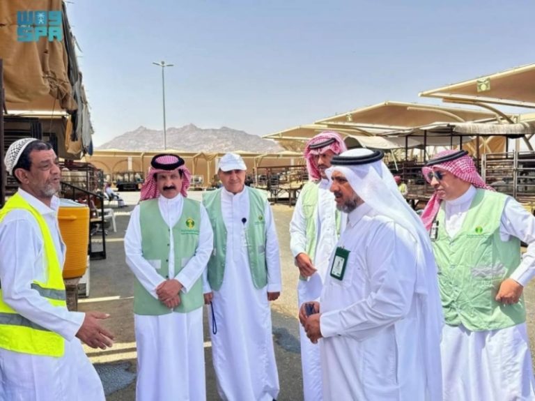 جولات رقابية مكثفة لبيئة نجران في أسواق النفع العام
