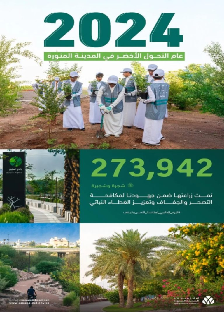 زراعة 273 ألف شجرة في المدينة المنورة لتعزيز جهود مكافحة التصحّر وتنمية الغطاء النباتي