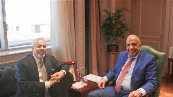 زيادة التعاون في الطاقة المتجددة مع إيميا باور الإماراتية