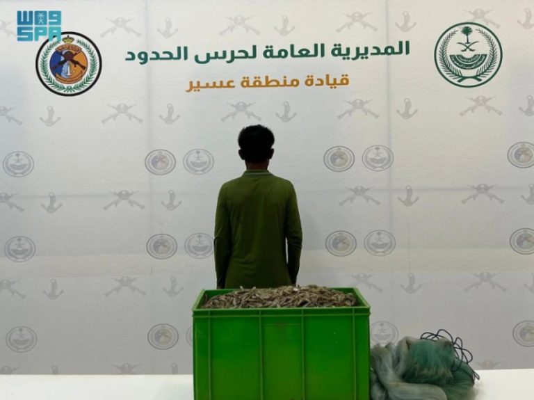 ضبط مقيم مخالف للائحة الأمن والسلامة بعسير