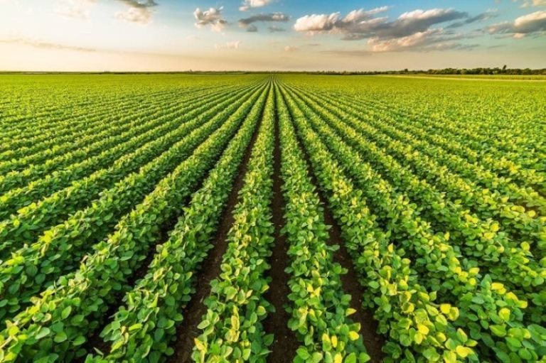 عداد المستفيدين يتجاوز 87 ألفاً في “ريف السعودية” لتعزيز استقرار المجتمع الريفي