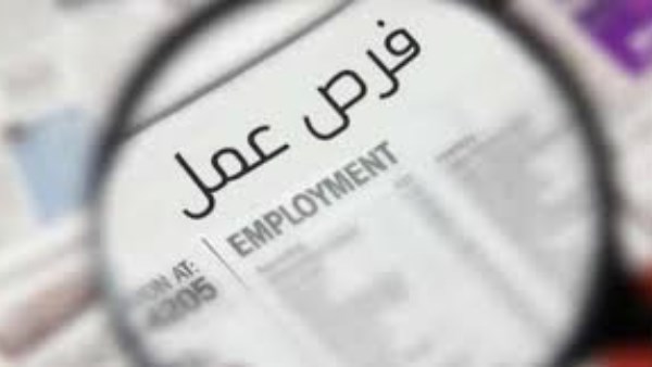 فرص عمل جديدة في المحافظات… التقديم متاح الآن