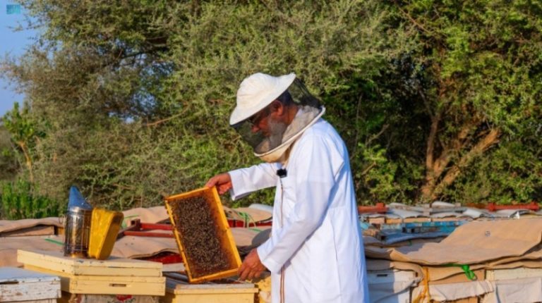 “محمية الملك عبدالعزيز” تطلق تصاريح تربية النحل