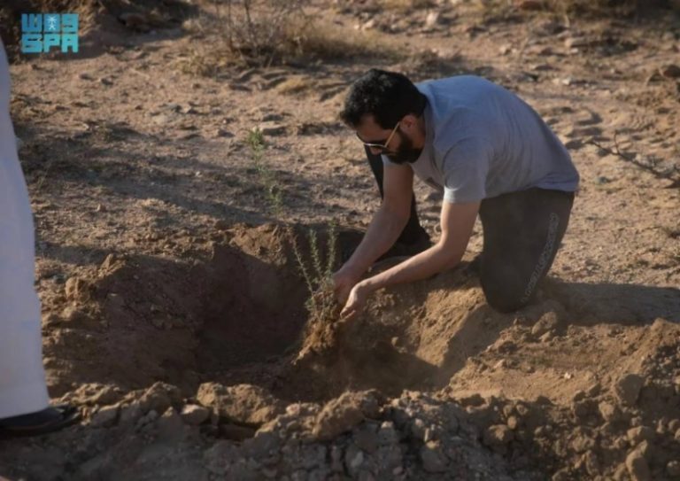 مكة المكرمة تحتفي بزراعة 7.3 ملايين شجرة لمستقبل بيئي أفضل