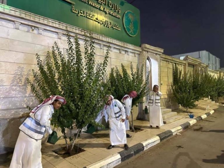 مكتب بيئة الخرمة يدعم الاستدامة الخضراء