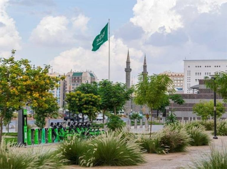 نسبة رضا السكان عن جودة الحياة تصل إلى 82%