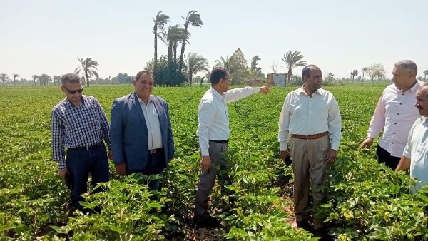 وزارة الزراعة تنظم 6400 ندوة إرشادية بيطرية في مايو