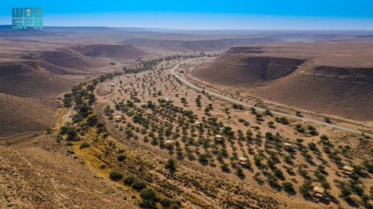 تحولات كبيرة في المملكة… تأهيل الأراضي نحو الاستدامة