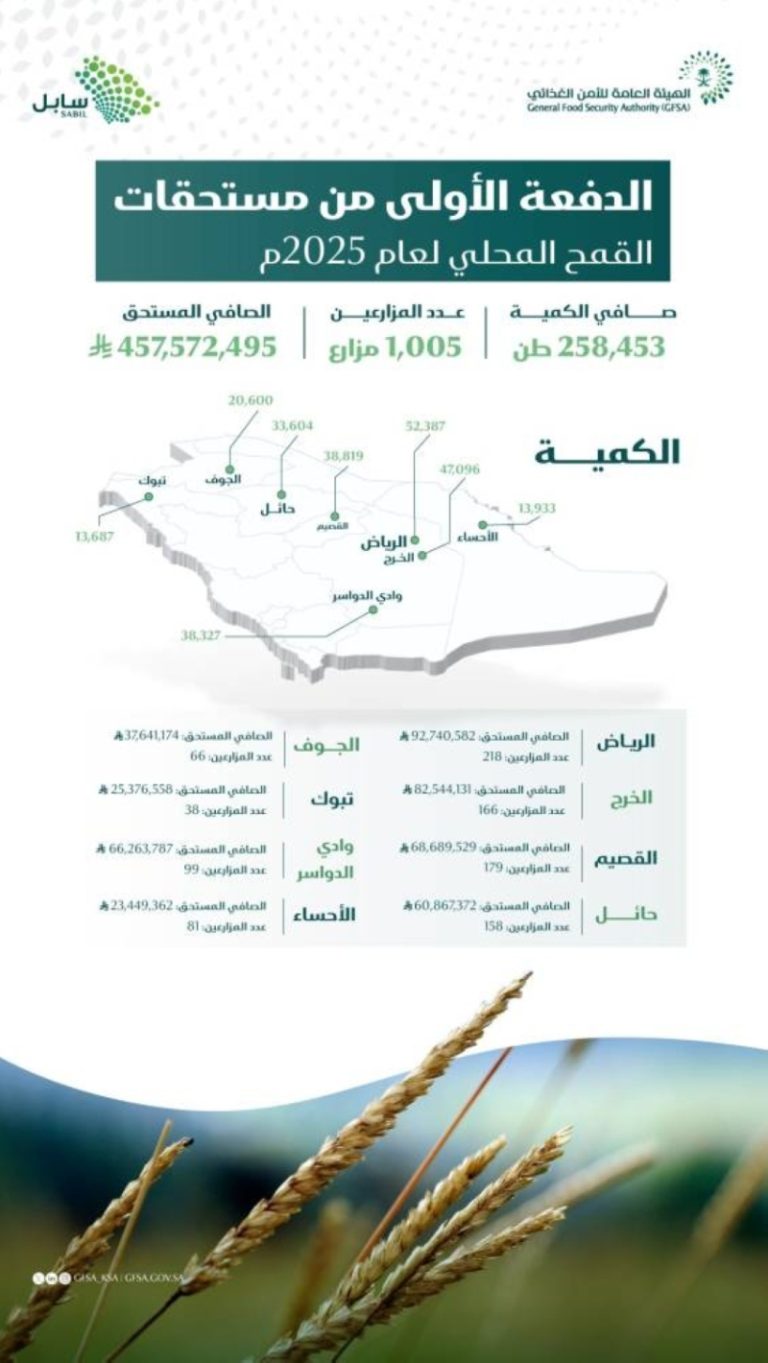 صرف 457 مليون ريال لمزارعي القمح المحلي كدفعة أولى للأمن الغذائي