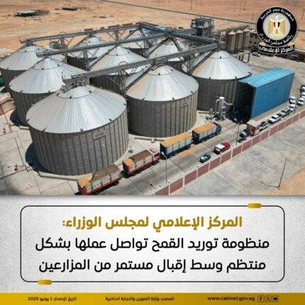 عمليات توريد القمح المحلي تتواصل بسلاسة من مجلس الوزراء