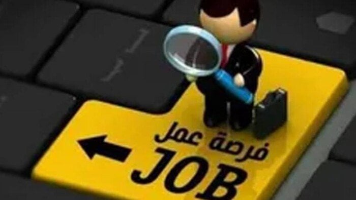 فرص عمل جديدة في الأردن بقطاع تربية الدواجن