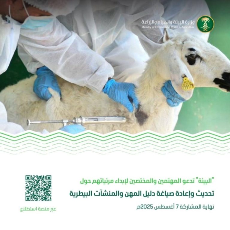 مشروع تحديث دليل المهن: البيئة تطرح مبادرة جديدة عبر منصة استطلاع