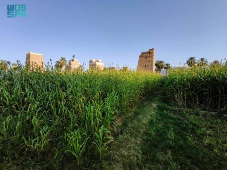 نجران تبرز كوجهة زراعية واعدة للمستثمرين بتقنيات ذكية وفرص جديدة
وجهات زراعية في نجران تجذب المستثمرين بفرص مبتكرة وتقنيات حديثة
نجران تجذب المستثمرين بفرص زراعية متنوعة وتقنيات متطورة
فرص نوعية في نجران تساهم في استقطاب المستثمرين للقطاع الزراعي
استثمارات زراعية جديدة في نجران تعزز استخدام التقنيات الذكية