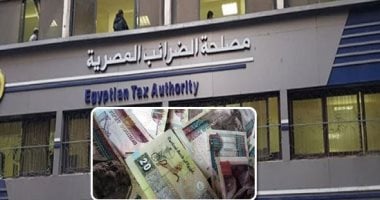 1.6 مليار وثيقة في الفاتورة الإلكترونية تكشف 17 ألف حالة تهرب مالي