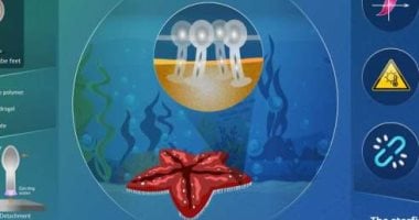 أقدام نجم البحر تلهم تصميم روبوتات تلتقط الأشياء تحت الماء