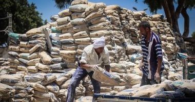استقرار سعر الأسمنت اليوم الأربعاء 20 أغسطس 2025 في السوق المحلي