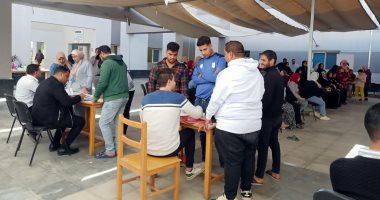 تراجع ملحوظ في أعداد المتعطلين بمصر 57 ألفاً خلال الربع الثاني من 2025