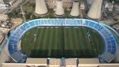 غزل المحلة