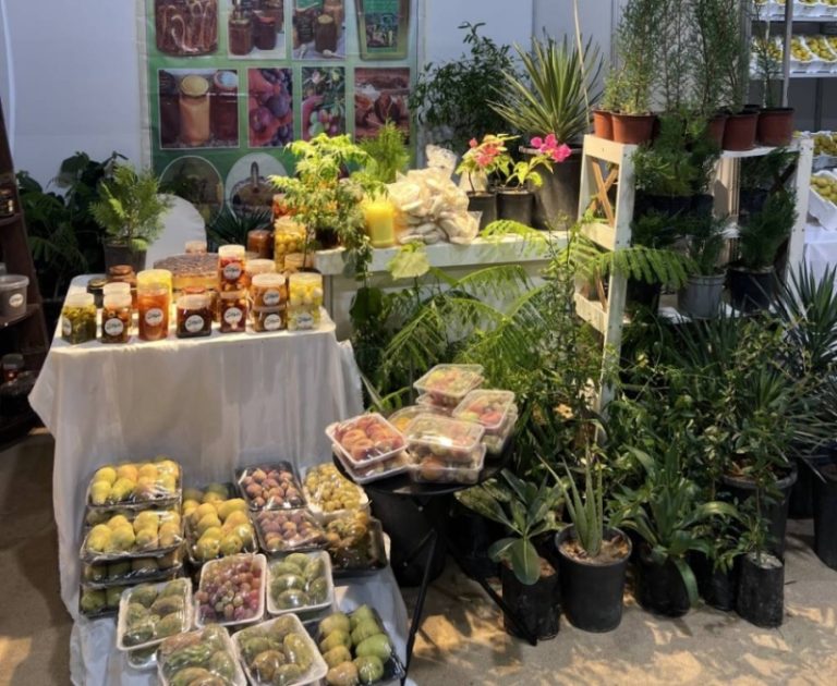 ختام فعالية فاكهة طبرجل 4 يبرز دعم 15 منتجًا زراعيًا وغذائيًا