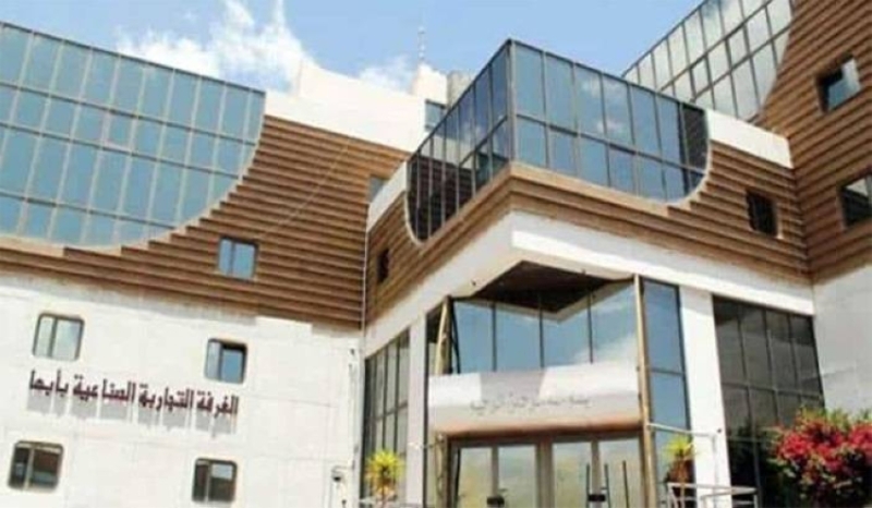 رصد التحديات التي تواجه الشباب في سوق العمل وتأثيرها على المجتمع