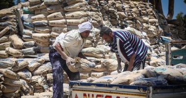سعر الأسمنت اليوم الخميس 21 أغسطس 2025: تعرف على سعر الطن في الأسواق