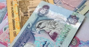 سعر الدرهم الإماراتي اليوم: 13.13 جنيه للشراء في البنك المركزي 16-8-2025