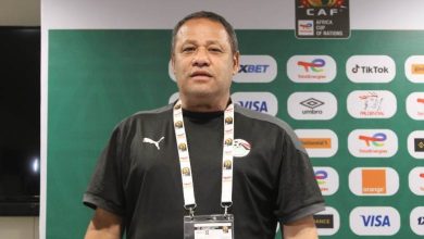 ضياء السيد