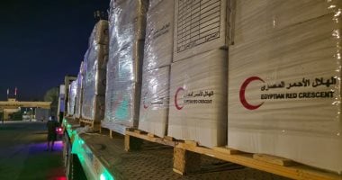 قافلة “زاد العزة” 26 تنطلق نحو غزة محملة بـ 3200 طن من المساعدات الإنسانية