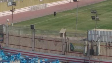 كاترين أمو أرينجو