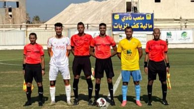 مالية كفر الزيات