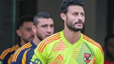 محمد الشناوي