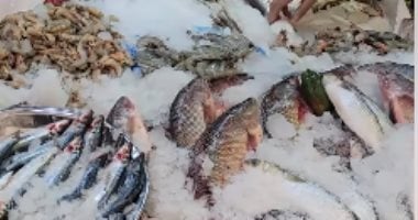 مصر تحتل المرتبة الثانية عالميًا في تصدير سمك البلطى وفق المجلس التصديري للصناعات الغذائية