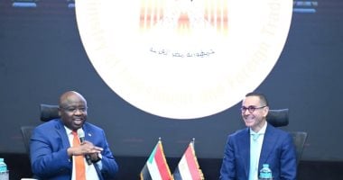وزير الاستثمار يؤكد دعم السودان في جهود الاستقرار